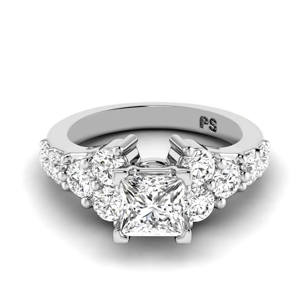 1.75-2.90 CT Round & Princess Cut Diamonds - Engagement Ring