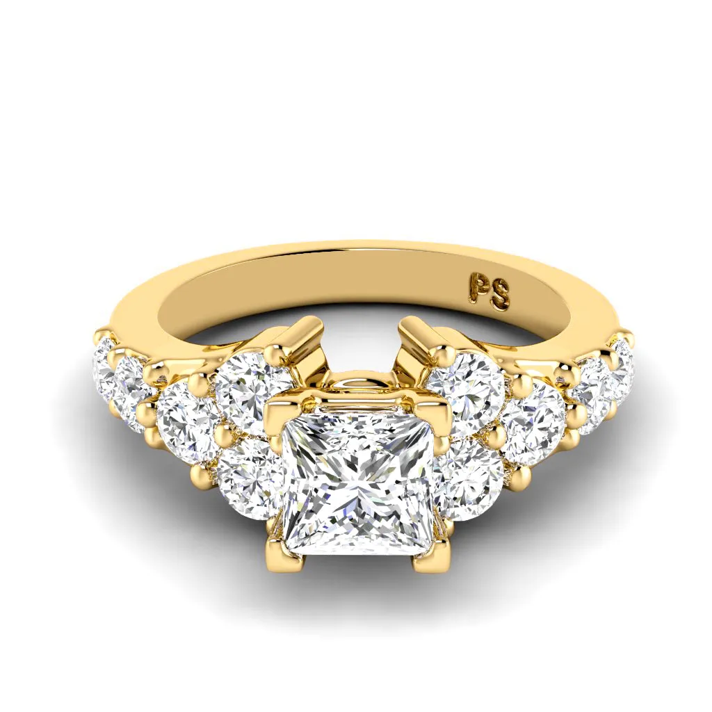 1.75-2.90 CT Round & Princess Cut Diamonds - Engagement Ring