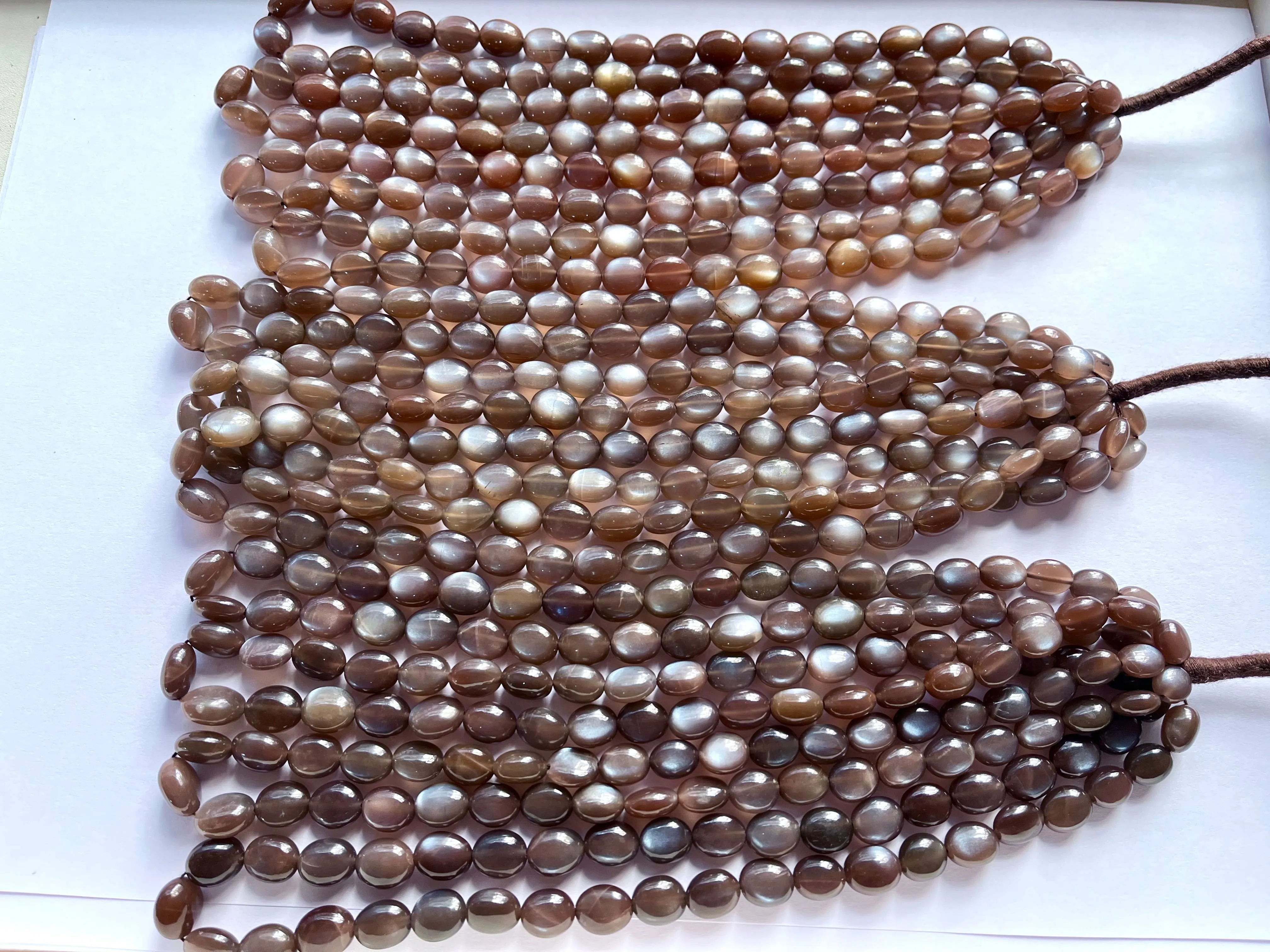 AAA Chocolate Moonstone Smooth Oval Shape Beads
