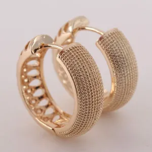 Classic Hollow Style Zircon Hoop Earrings