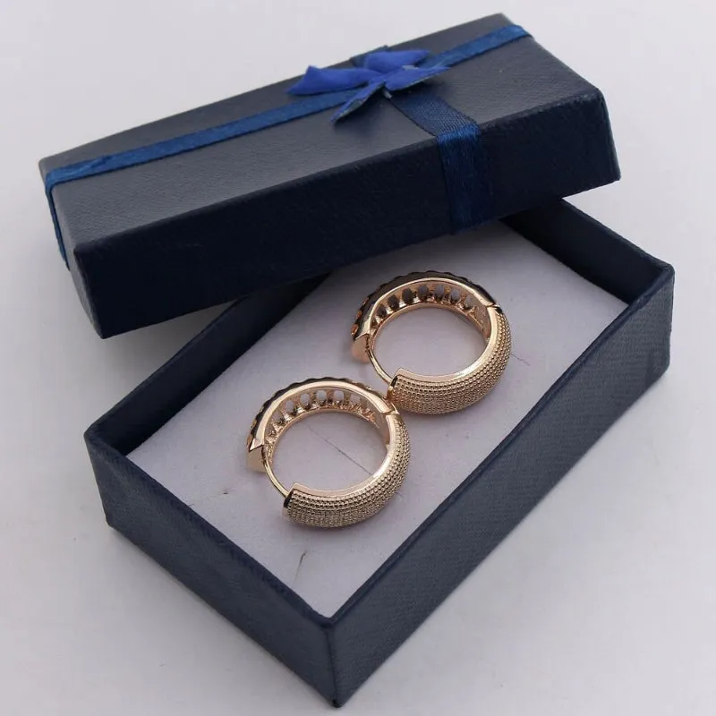 Classic Hollow Style Zircon Hoop Earrings