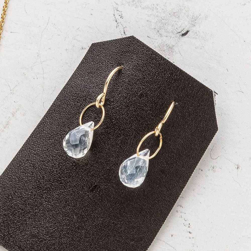 June Petite Briolette Drop Earrings: Moonstone